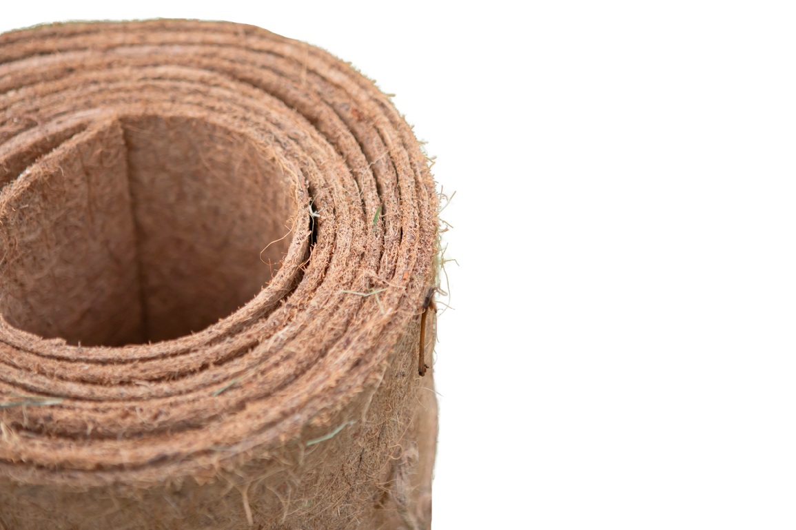 gießrand, kokosfaser, bewässerung, baumbewässerung